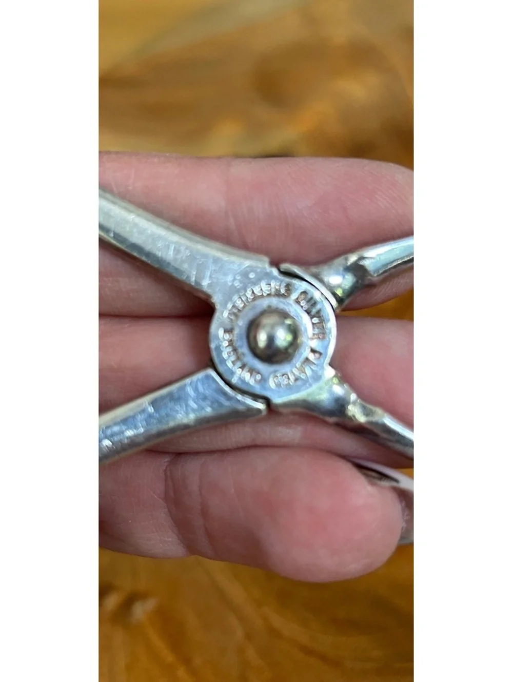 Reed & Barton Silver Plated Serving Tongs